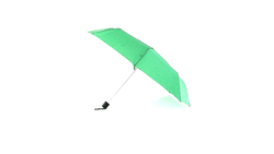Parapluie Mint