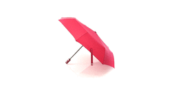 Parapluie Dack