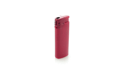 Briquet Lanus
