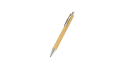 Stylo Reycan